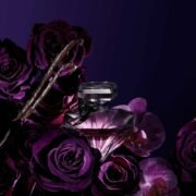 Lancome La Nuit Tresor 75ml -  дамски - Image 2